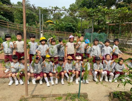 〔2023-04-17〕本校幼稚園高班參觀金像農場