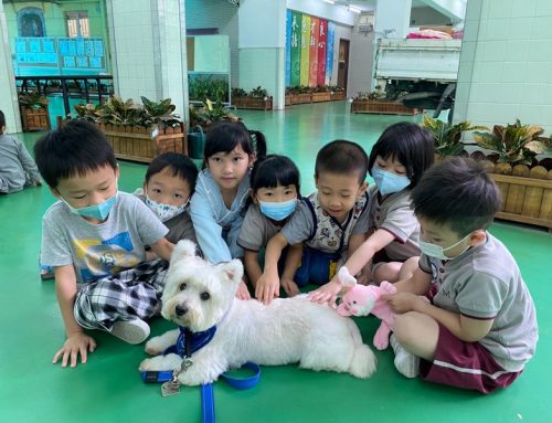 〔2023-05-29〕幼低級參加親親狗醫生活動