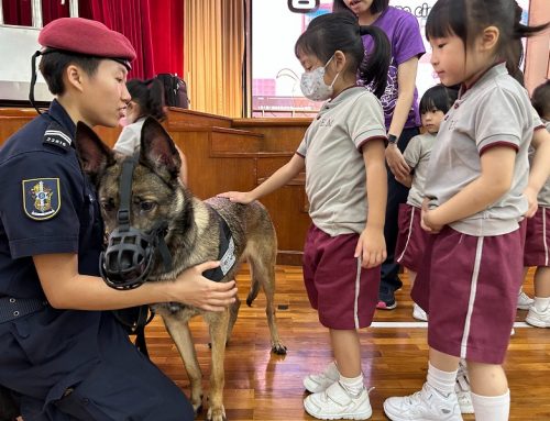 〔2023-07-06〕本校幼稚園邀請治安警警犬組到校表演